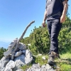 Franjo